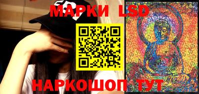 дмт Будённовск