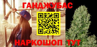 дмт Будённовск
