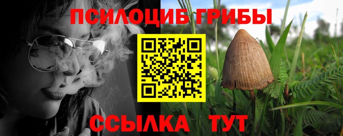 Ливны  Галлюциногенные грибы мухоморы  Вход с VPN  Псилоцибиновые грибы Psilocybine cubensis 